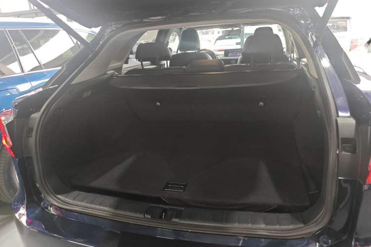 Used Lexus RX 2016 300 4x4 Elegant Edition China VI