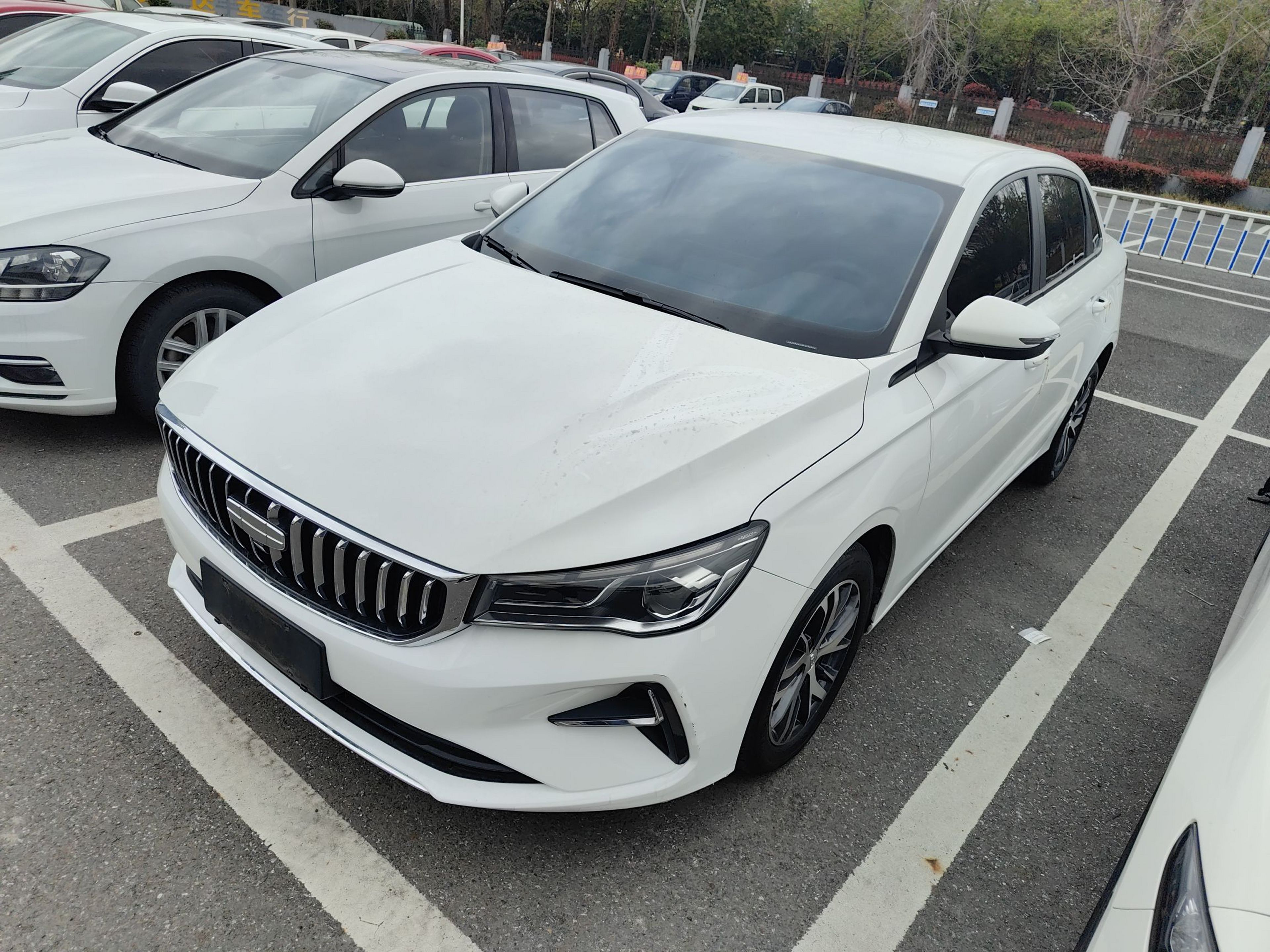 Parte inferior delantera