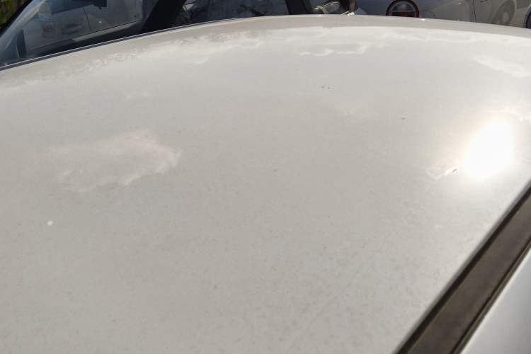 Used Qiyuan Lumin 2025 205 km Xiangqin Version
