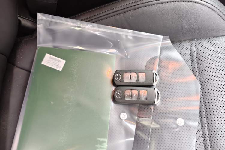 Used Mazda Atenza 2018 2.0L Blue Sky Luxury Edition China VI Standard Interior 1