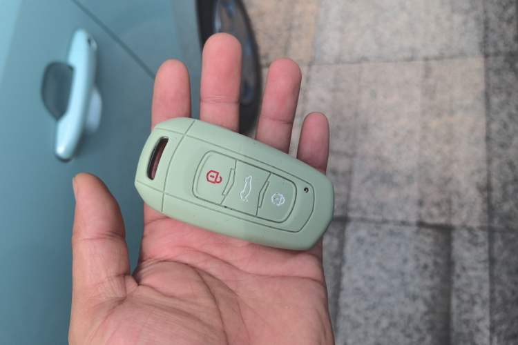 Used Geely Galaxy Panda 2023 Panda Mini 200km Endurance Bear Vehicle Key