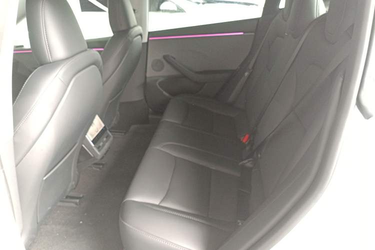 Used Tesla Model 3 2025 Rear-Wheel-Drive Version Left Rear Seat