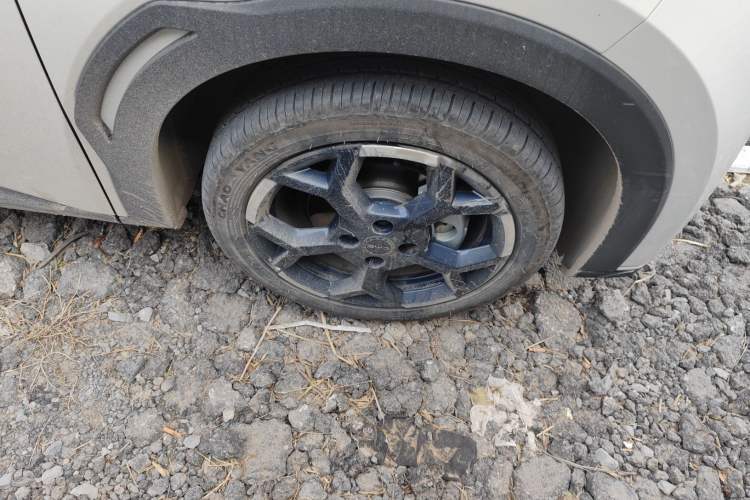 Used BYD Seagull 2024 Honor Edition 305km Freedom Version
