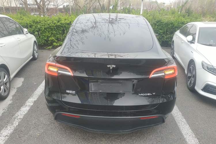 Used Tesla Model Y 2021 Standard Range Rear-Wheel Drive Version
