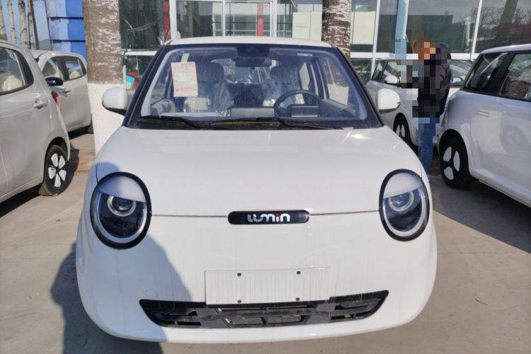 Used Qiyuan Lumin 2025 205 km Xiangqin Version
