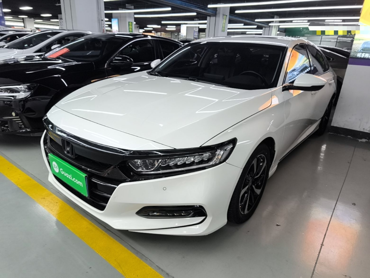 Under Front Bumper
