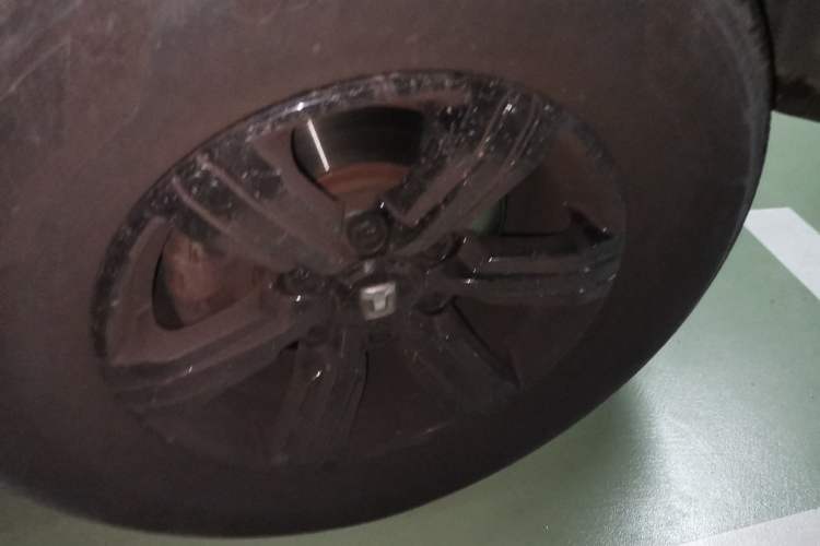 Used Tank 300 2021 Off-Road Edition 2.0T Conqueror