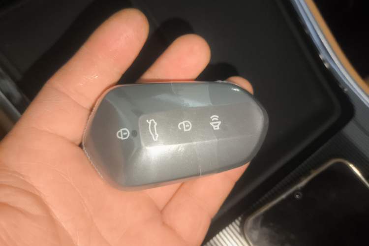 Used Livan Livan 7 2024 605 km Glory Edition