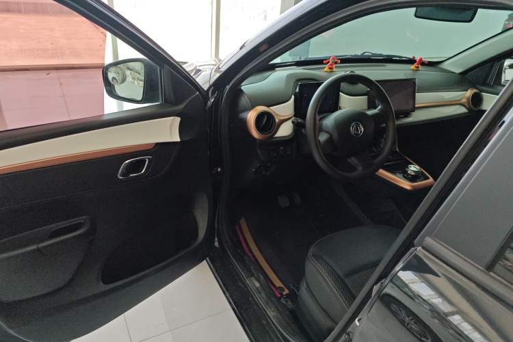 Used Dongfeng NAMMI EX1 2023 PRO Light Wind Edition Lightning Model