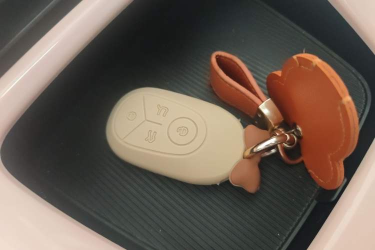 Used Geely Galaxy Geome 2025 310km Youth Edition