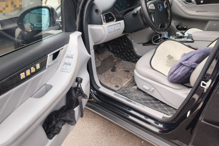 Used Denza 2017 Stylish Edition