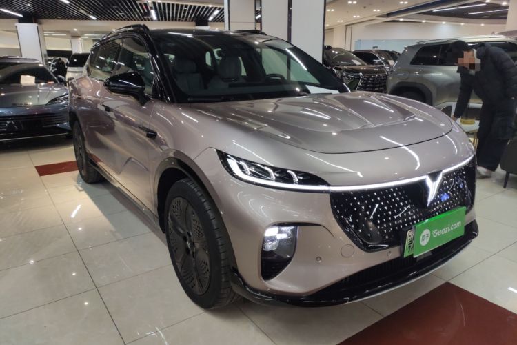 Used VOYAH COURAGE 2024 Four-Wheel Drive Global Edition