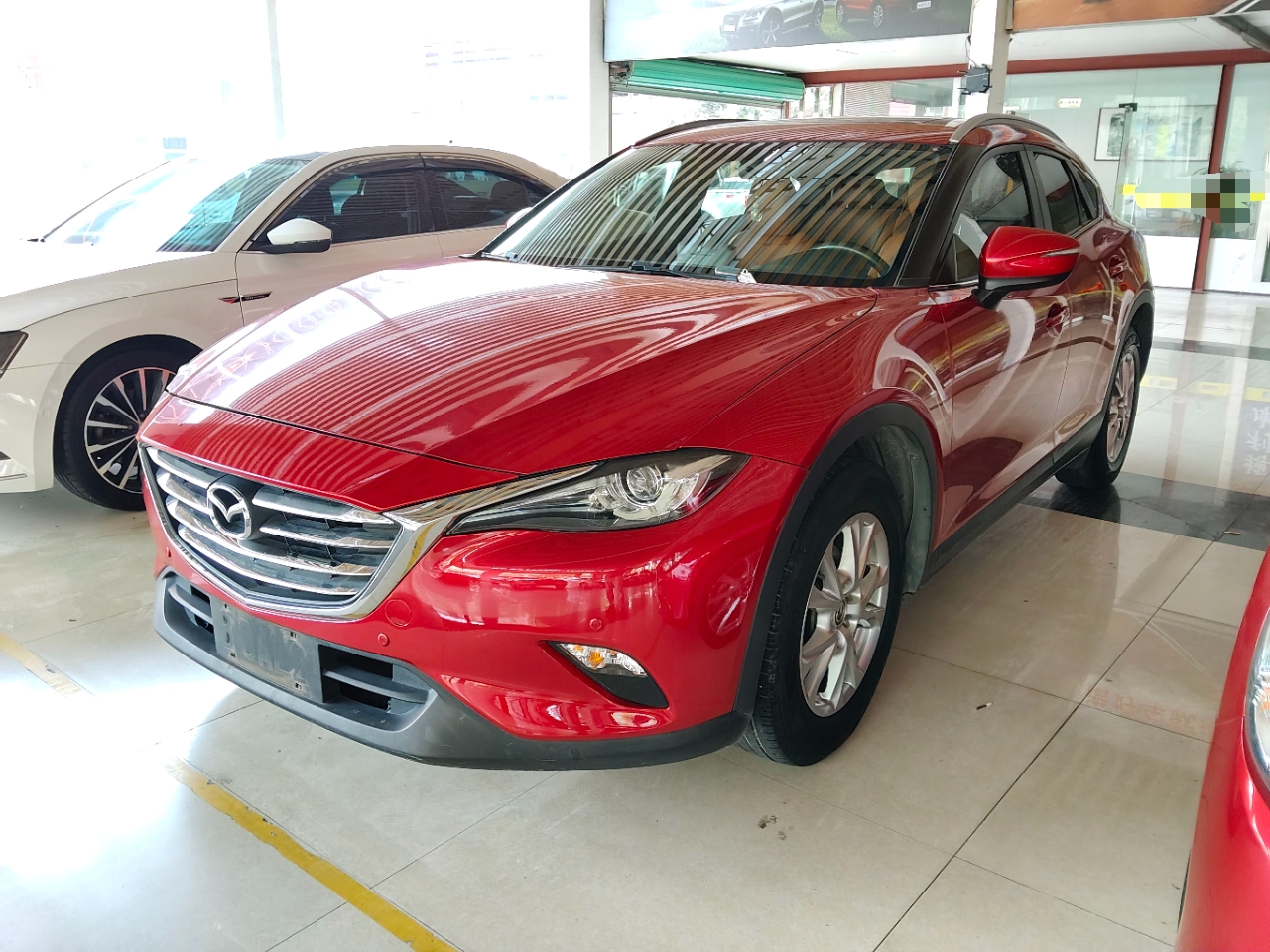 Parte inferior delantera