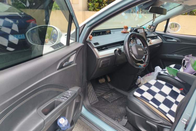 Used NETA V 2021 Long-Range Entertainment Edition Upgrade Model
