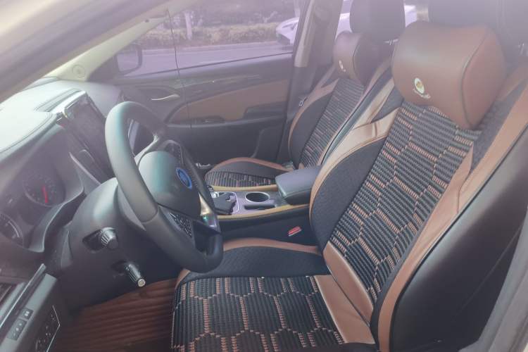 Used BYD Qin New Energy 2017 1.5T Luxury Model