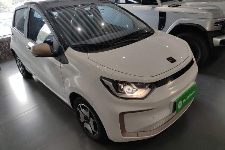 Used SOL E10X 2022 Flower Fairy Style Baby's Breath
