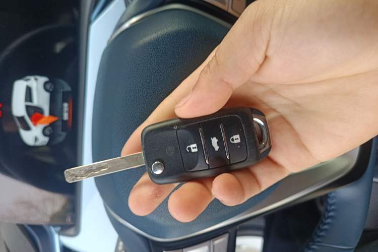 Used Oshan Benni E-Star 2022 Charming Edition Colorful Model Lithium Iron Phosphate