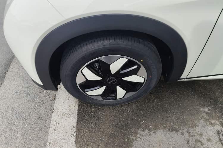 Used BYD Dolphin 2025 420km Free Edition