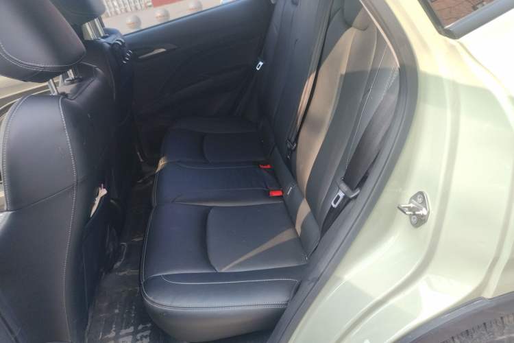 Used NETA V 2022 Chao 300 Lite Lithium Iron Phosphate
