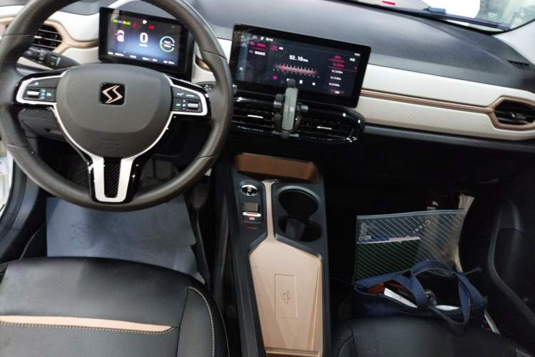 Used SOL E10X 2022 Flower Fairy Design Dandelion