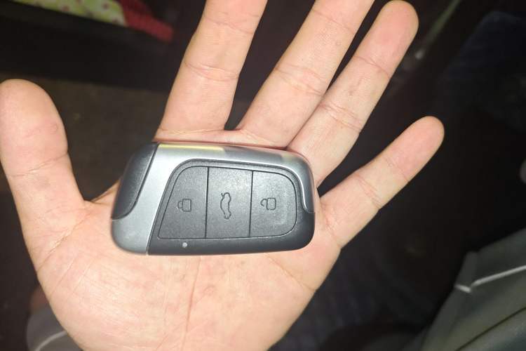 Used Chery Little Ant 2022 Updated Version Sweet Pink Edition Full Sugar Version Lithium Iron Phosphate 30.7 kWh 30 kW 301 km