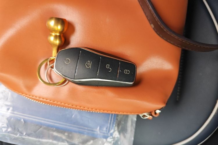 Used BYD Qin PLUS 2023 Champion Edition DM-i 55KM Leading Model Vehicle Key