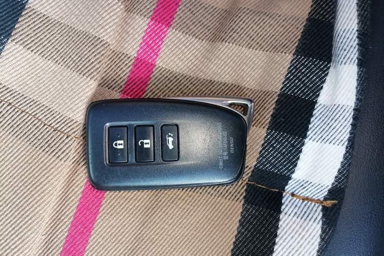 Used Lexus RX 2020 300 4x4 Elegant Edition China VI