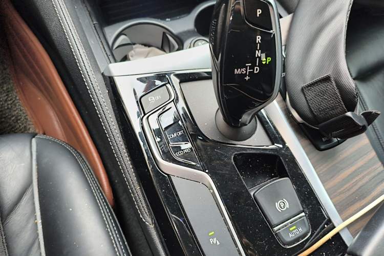 Used BMW 5 Series 2019 530Li Leading Model Luxury Package Gear Lever