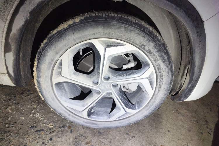 Used Geely Auto Monjaro L 2021 2.0TD DCT EVO Two-Wheel Drive Prestige Version