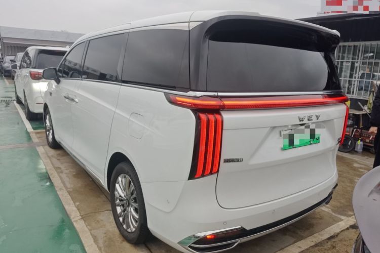 Used Wey Gaoshan 2023 Four-Wheel Drive Flagship Edition