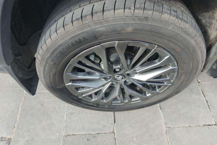 Used Toyota Wildlander 2023 2.0L CVT Four-Wheel Drive Luxury PLUS Edition
