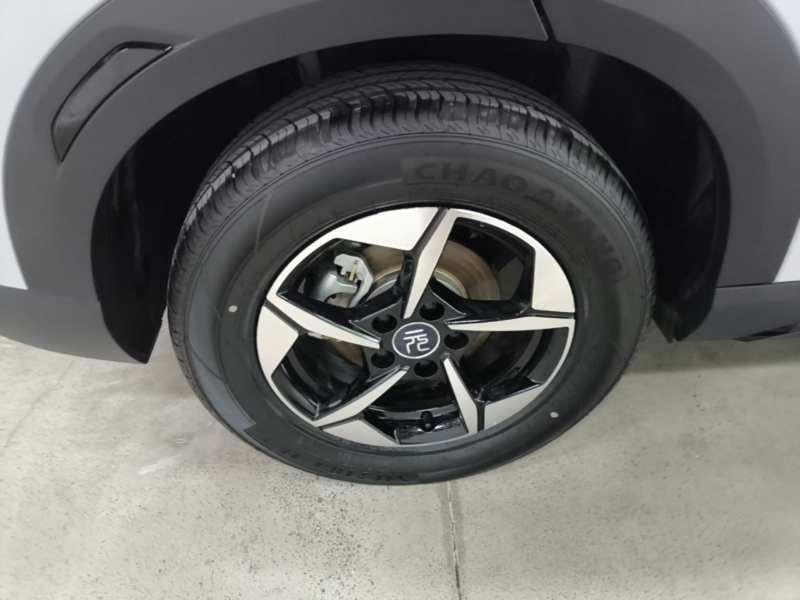 Used BYD Yuan UP 2024 301KM Leading Edition — 25