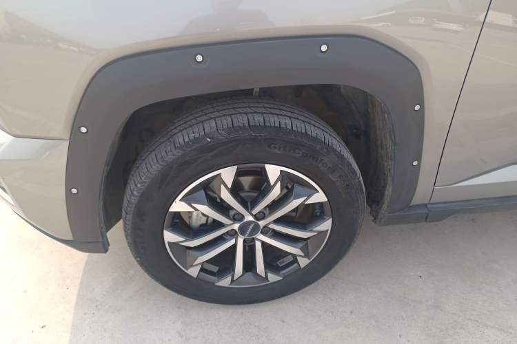 Used Haval H Dog 2023 2.0T Two-Wheel Drive Chaoye Version Plus
