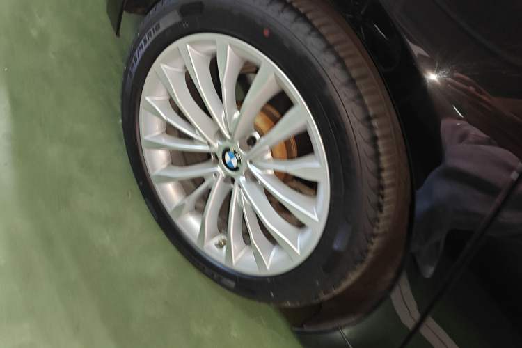 Used BMW 5 Series New Energy 2020 Mileage Upgrade Version 530Le Luxury Package