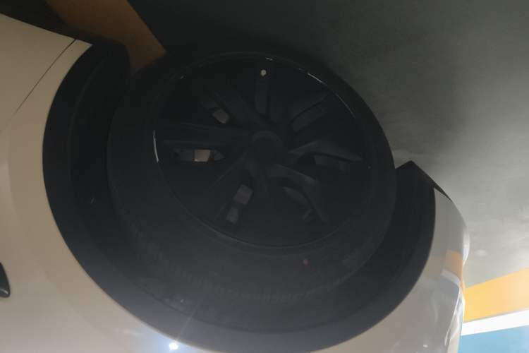 Used Tesla Model Y 2022 Rear-Wheel-Drive Version
