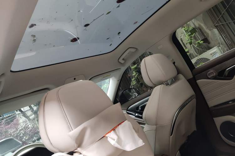 Used VOYAH FREE 2021 Two-Wheel Drive Standard Pure Electric City Edition Headliner