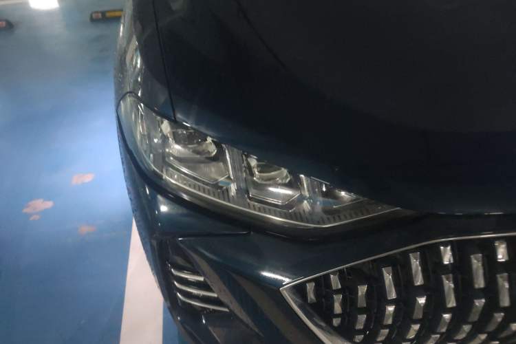 Used Wey Mocha 2021 2.0T Four-Wheel Drive Premium Edition
