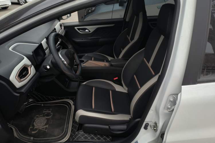 Used SOL E10X 2022 Flower Fairy Style Baby's Breath
