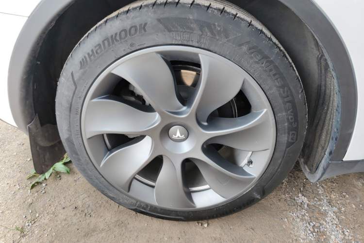 Used Tesla Model Y 2022 Rear-Wheel-Drive Version
