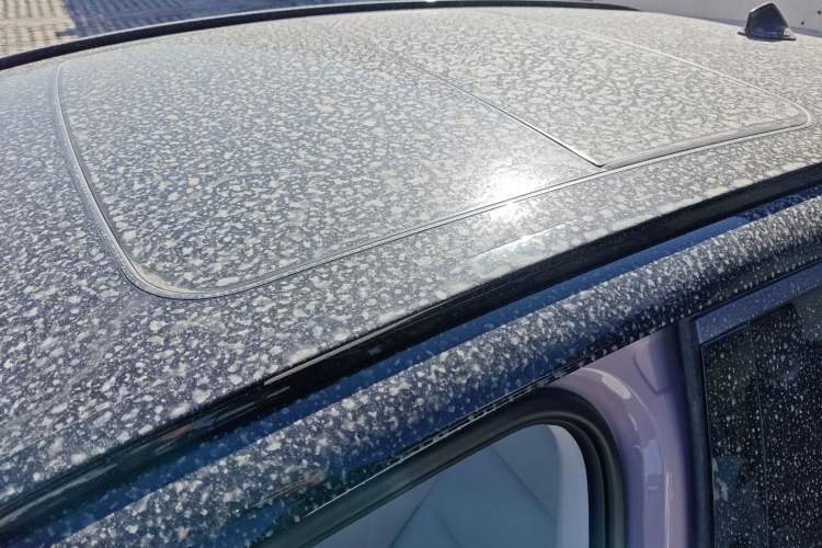 Used Lynk & Co 06 EM-P 2023 EM-P 126 Long-Range Halo Roof