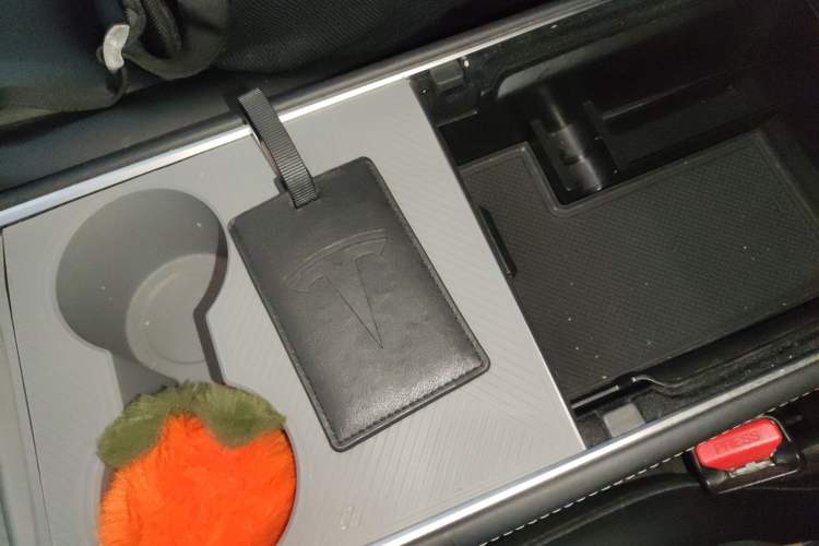 Used Tesla Model 3 2022 Rear-Wheel-Drive Version Interior 1