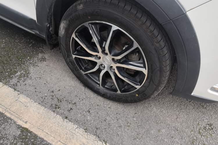 Used FORTHING SX6 2019 1.6L Manual Luxury Model China VI Standard