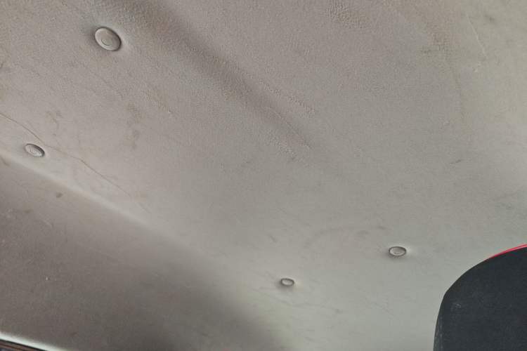 Used FORTHING Lingzhi 2020 M5L 2.0L Base Model 7 Seats Headliner