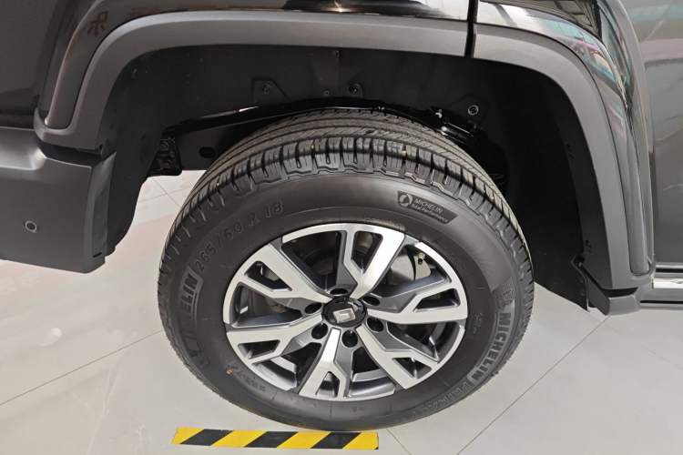 Used Tank 300 2024 2.0T Crosser