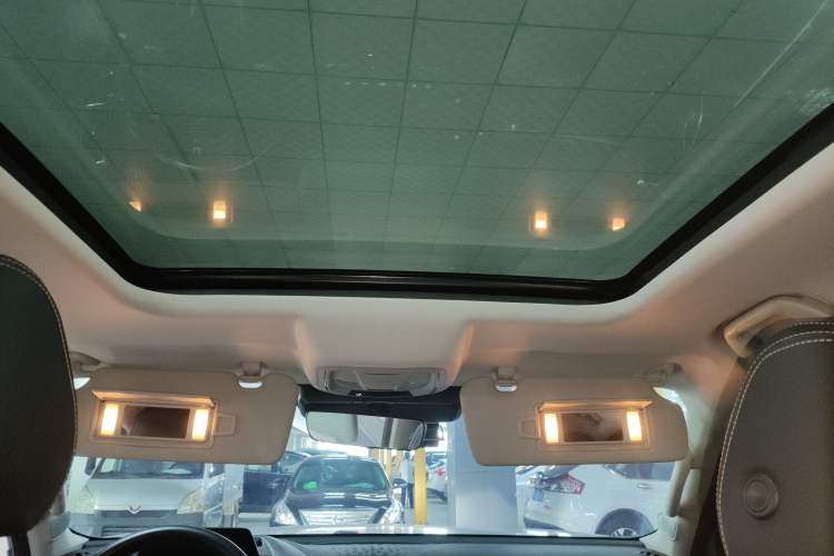 Used Haval DARGO 2022 2.0T DCT 4x4 Chinese Rural Dog Edition