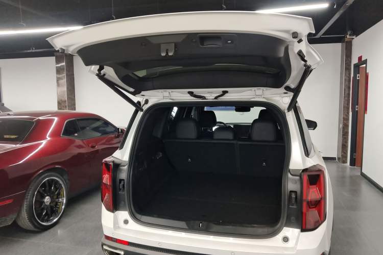 Used GAC Trumpchi GS8 2025 Linghang Series 2.0 TGDI Two-Wheel-Drive Luxury Edition 5 Seats Trunk