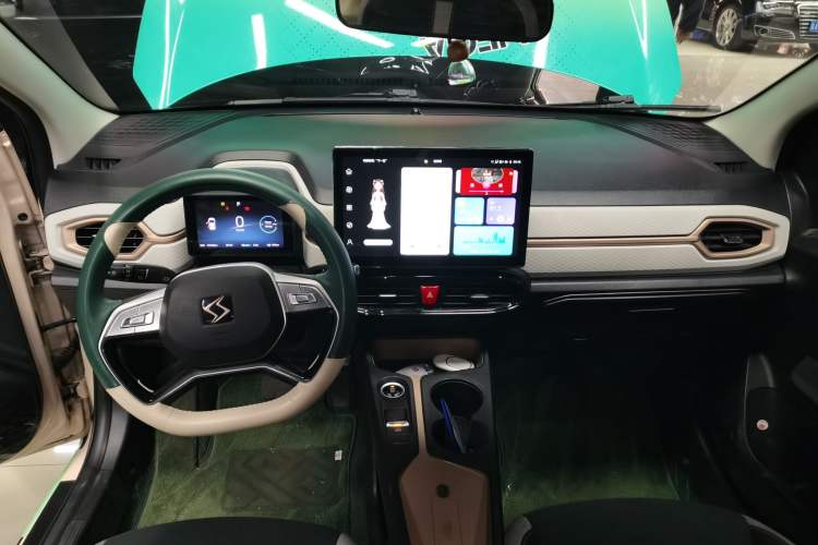 Used SOL E10X 2023 Anniversary Edition 301km Four-Leaf Clover 36kW
