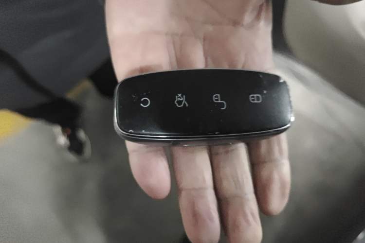 Used Denza D9 2024 DM-i 970 Luxury Model