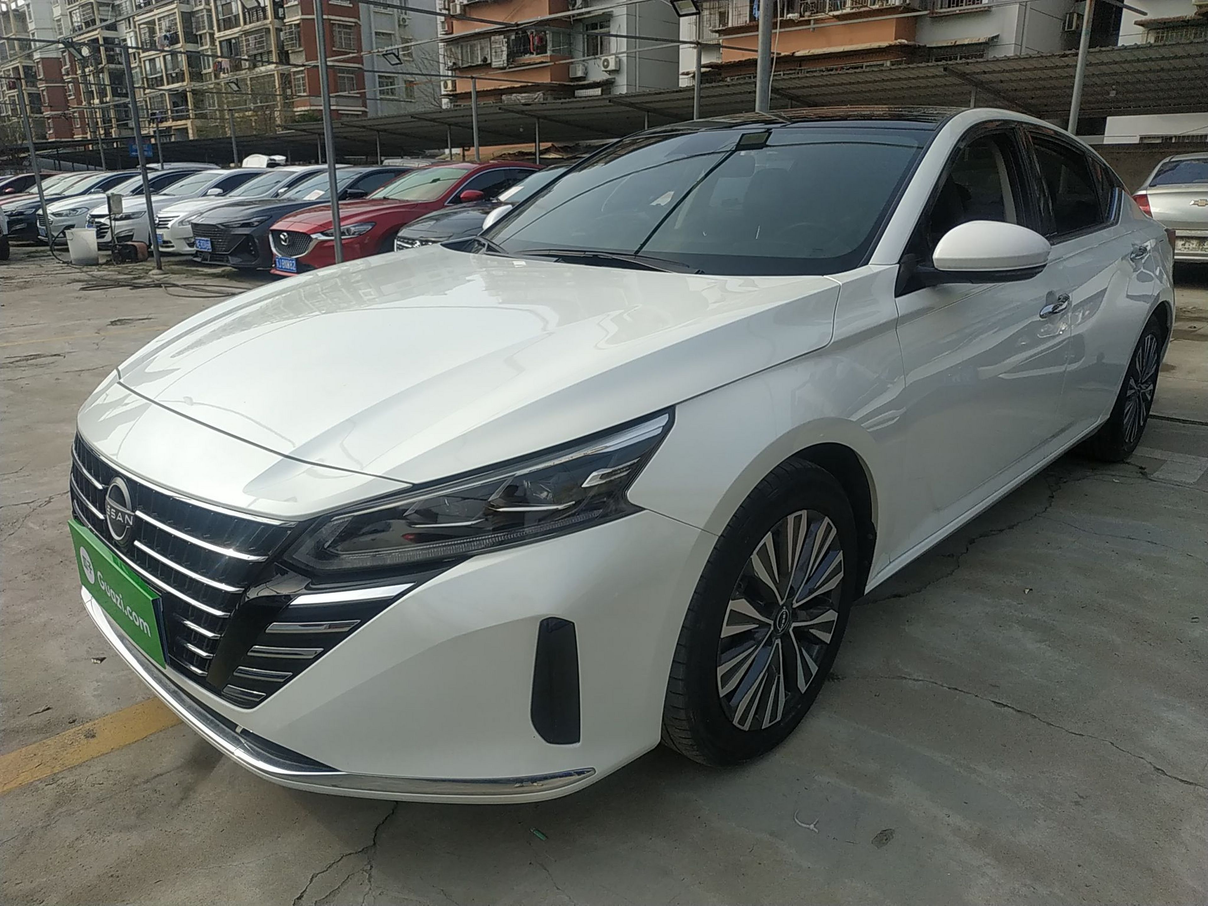 Parte inferior delantera