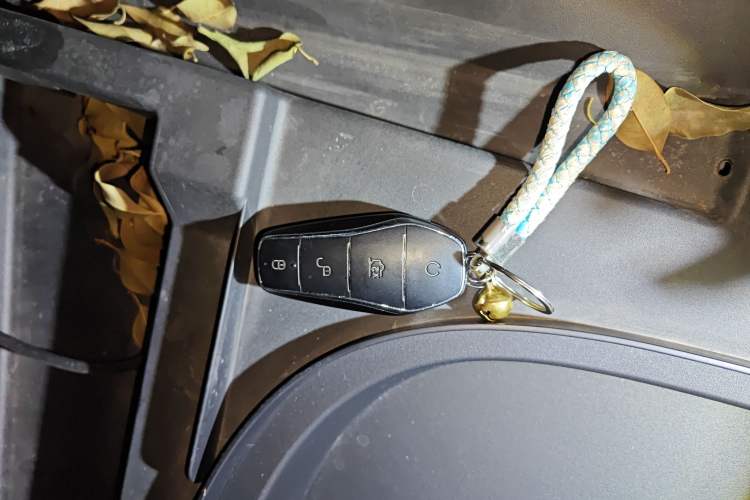 Used BYD Song L EV 2024 662 km Excellence Version